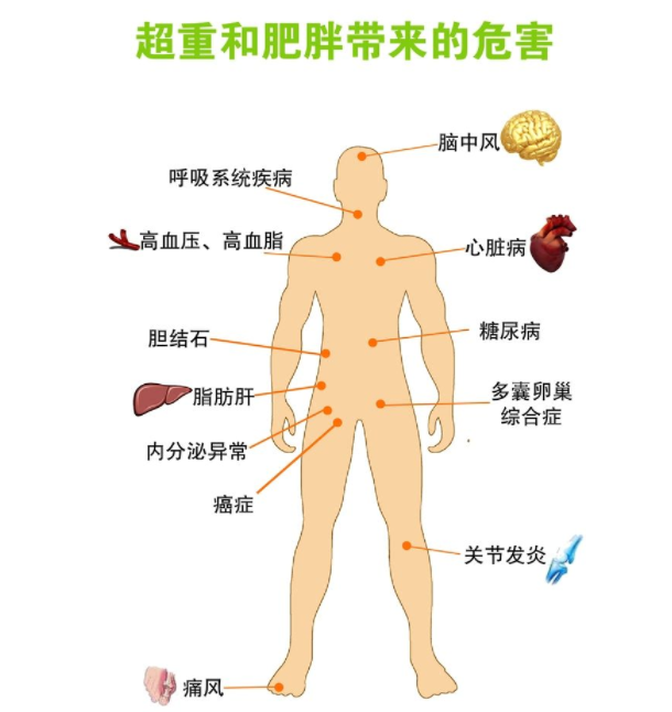 8f5ad32e112c4ce83ed8e7355d41b5a6.png