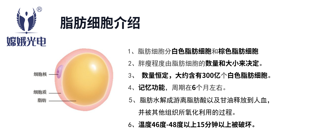 5a7af451c203a0ae6098bb696fbf5ef7.png